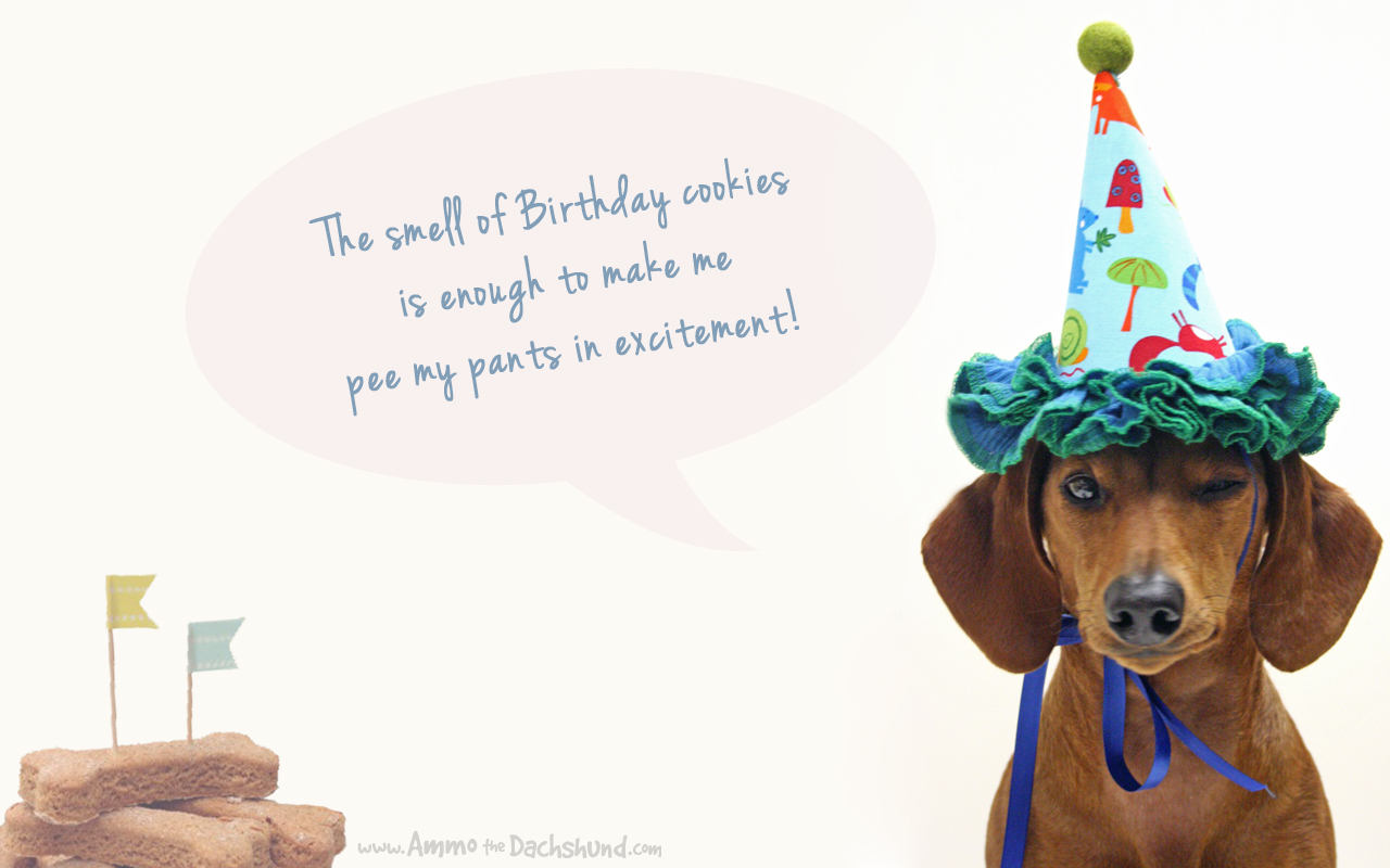 free dachshund birthday clip art - photo #21