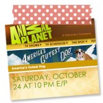 ammo on animal planet