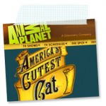 animal planet cats animal planet cats