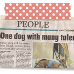 daily local new article