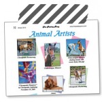 paisley pony article