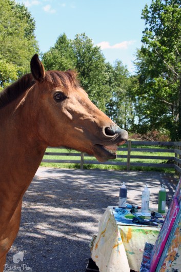 ammo with painting ponies