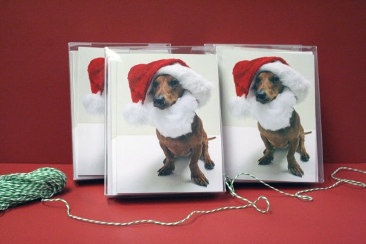 ammo the dachshund christmas cards ammo the dachshund christmas cards