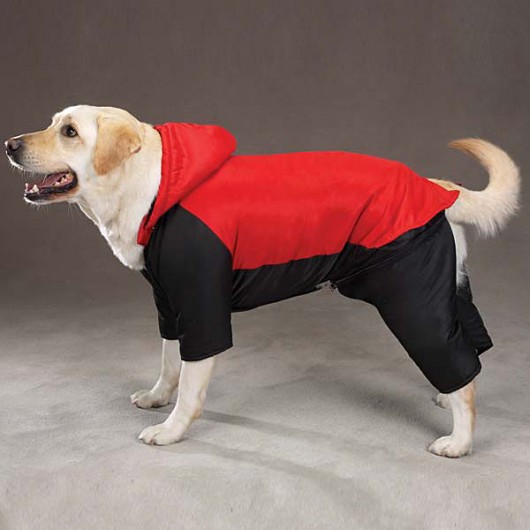 dog snowsuit