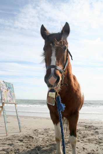 painting pony painting pony