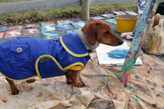 ammo the dachshund and the painting pony