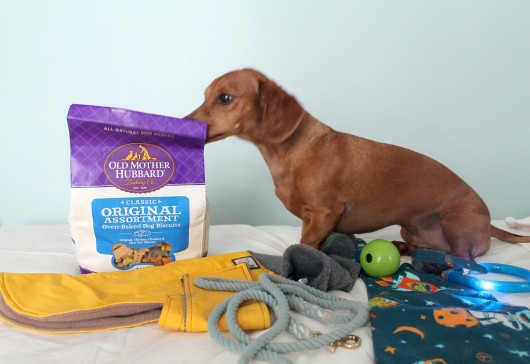 6 favorite dog products 6 favorite dog products