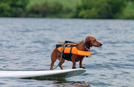 boots for paddle boarding