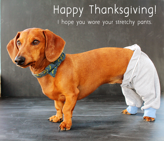 Thanksgiving stuffing eggs