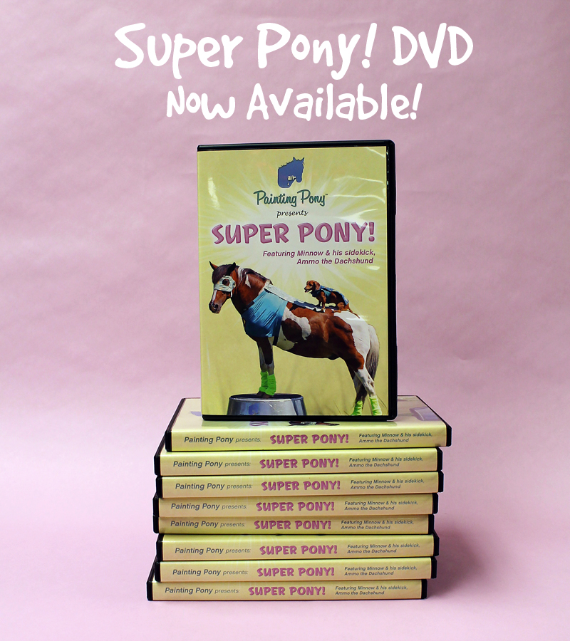 Super Pony! DVD Release