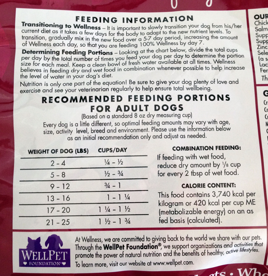 5 Tips for Keeping Your Pet Fit and Trim | Ammo the Dachshund