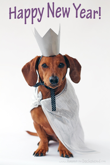 happy new year dog clipart - photo #48