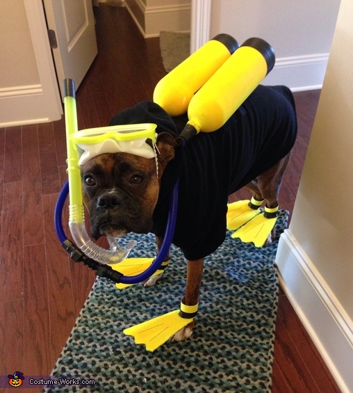 10 Homemade Costumes for Dogs Ammo the Dachshund