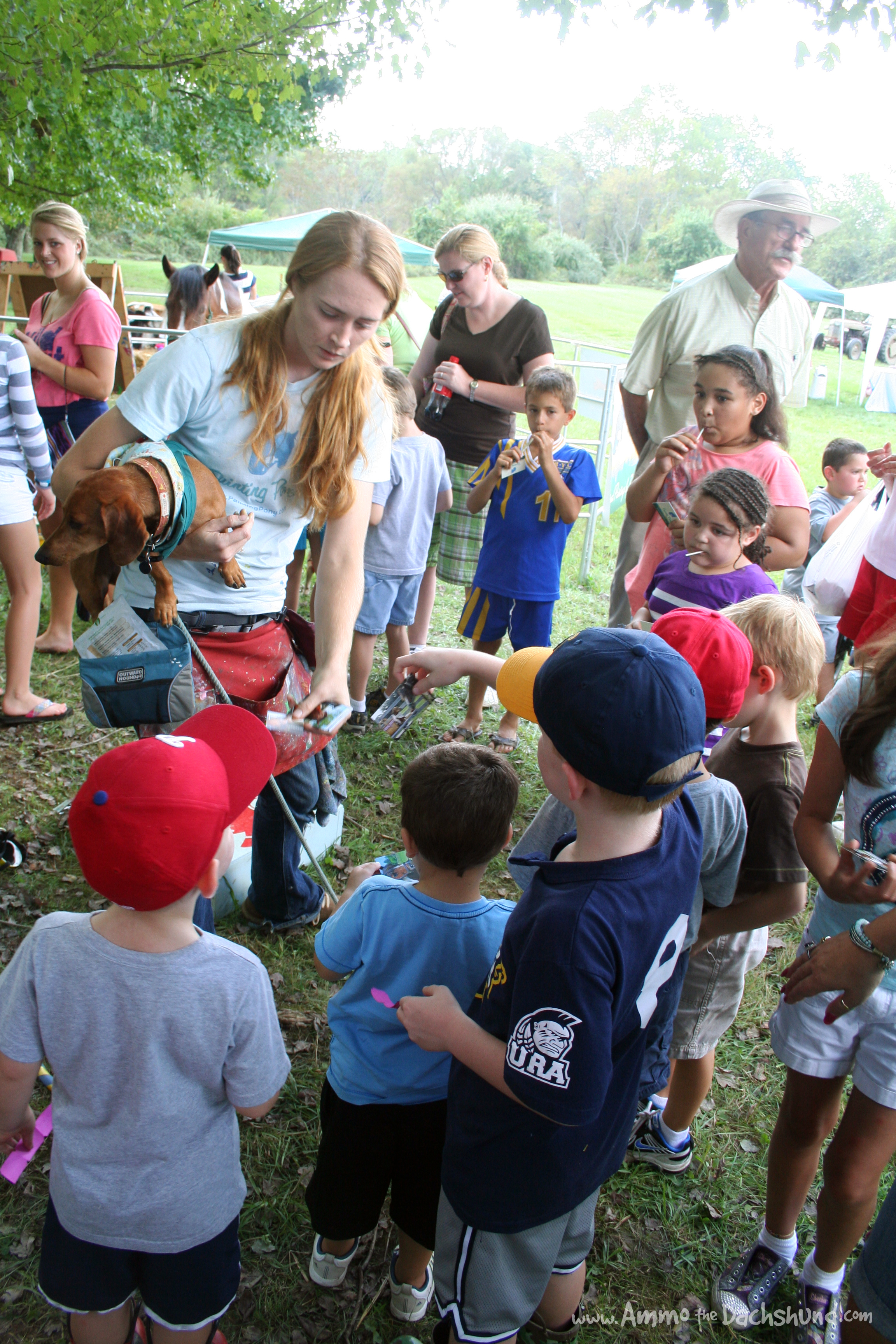 ammo the dachshund with the painting pony