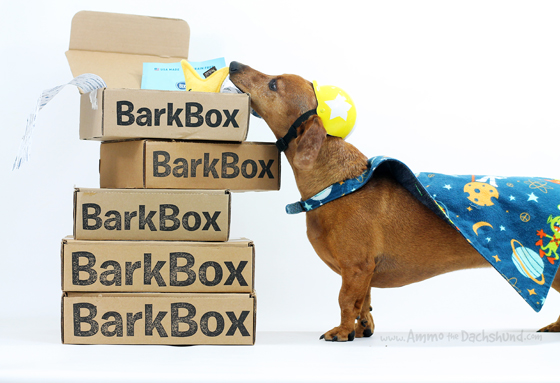 Birthday Week: Enter to Win a Free Barkbox Subscription