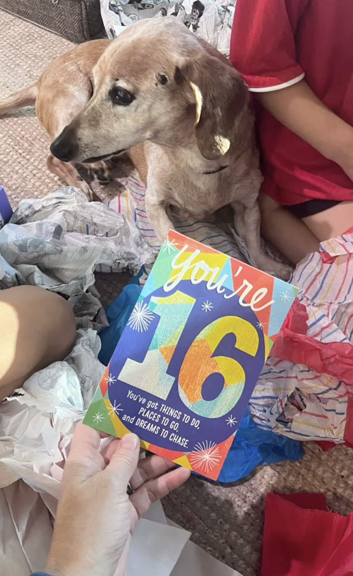 Ammo's 16th Birthday